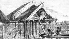 'Embarkation of Guajiros; A Visit to the Guajiro Indians of Maracaibo, Venezuela 1875. Creator: A Goering