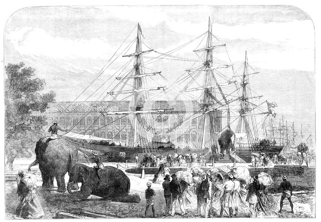 Embarking elephants at Bombay for the Abyssinian Expedition, 1868. Creator: C. R..