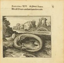 Emblem 14. This is the dragon eating its own tail. From "Atalanta fugiens" by Michael Maier, 1618. Creator: Merian, Matthäus, the Elder (1593-1650)