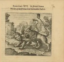 Emblem 16. This lion has no feathers, but that one has. From "Atalanta fugiens" by Michael..., 1618. Creator: Merian, Matthäus, the Elder (1593-1650)