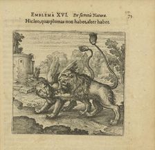 Emblem 16. This lion has no feathers, but that one has. From "Atalanta fugiens" by Michael..., 1618. Creator: Merian, Matthäus, the Elder (1593-1650)