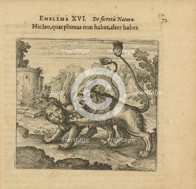 Emblem 16. This lion has no feathers, but that one has. From "Atalanta fugiens" by Michael..., 1618. Creator: Merian, Matthäus, the Elder (1593-1650).