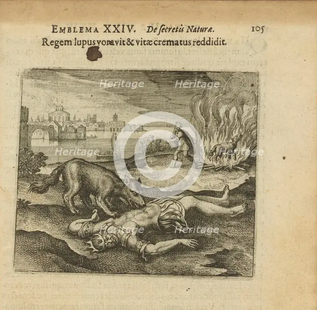 Emblem 24. The wolf ate the king, and how he burned the life back to him, 1618. Creator: Merian, Matthäus, the Elder (1593-1650).