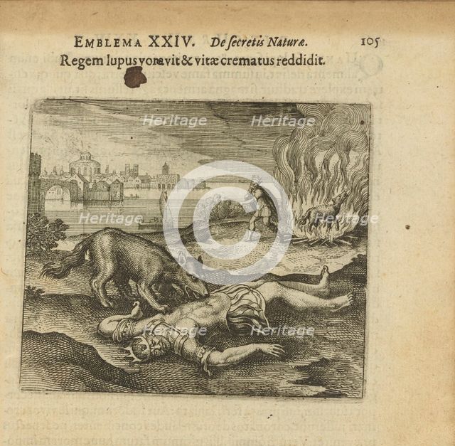 Emblem 24. The wolf ate the king, and how he burned the life back to him, 1618. Creator: Merian, Matthäus, the Elder (1593-1650).