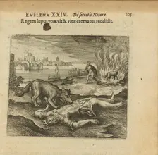 Emblem 24. The wolf ate the king, and how he burned the life back to him, 1618. Creator: Merian, Matthäus, the Elder (1593-1650)