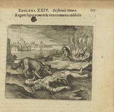 Emblem 24. The wolf ate the king, and how he burned the life back to him, 1618. Creator: Merian, Matthäus, the Elder (1593-1650)