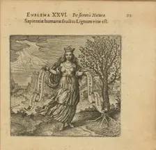 Emblem 26. The fruit of human wisdom is the wood of life, 1618. Creator: Merian, Matthäus, the Elder (1593-1650)