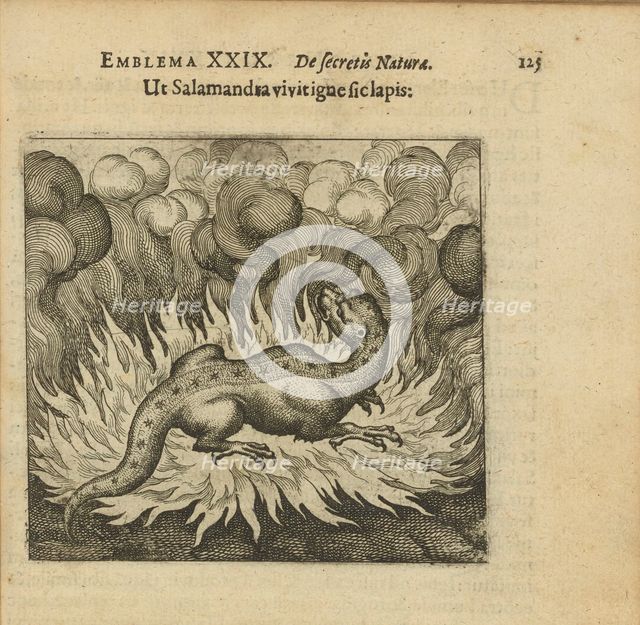 Emblem 29. As the salamander lives in fire, so does the stone, 1618. Creator: Merian, Matthäus, the Elder (1593-1650).