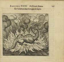 Emblem 29. As the salamander lives in fire, so does the stone, 1618. Creator: Merian, Matthäus, the Elder (1593-1650)