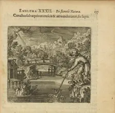 Emblem 32. The coral as it grows under the water and is hardened by air, so does the stone, 1816. Creator: Merian, Matthäus, the Elder (1593-1650)