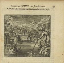 Emblem 32. The coral as it grows under the water and is hardened by air, so does the stone, 1816. Creator: Merian, Matthäus, the Elder (1593-1650)