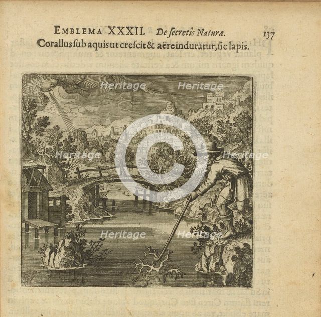 Emblem 32. The coral as it grows under the water and is hardened by air, so does the stone, 1816. Creator: Merian, Matthäus, the Elder (1593-1650).
