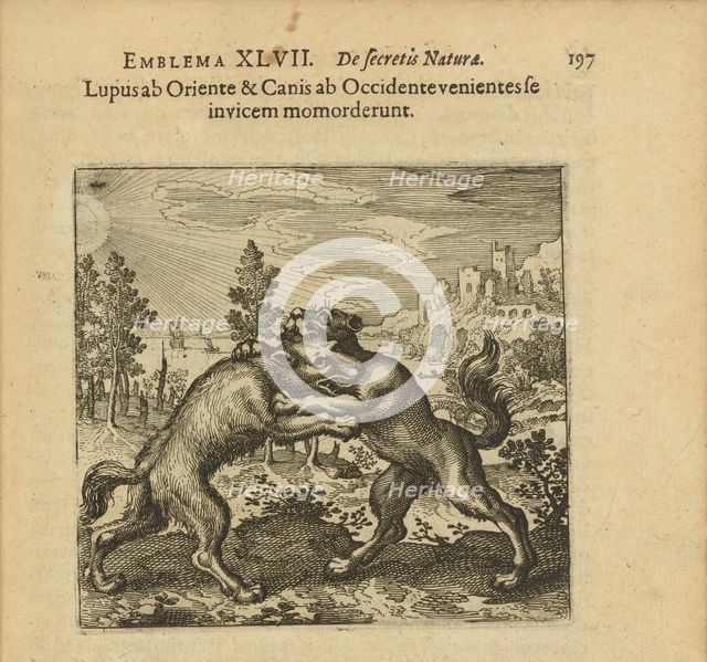 Emblem 47. The wolf coming from the staircase and the dog coming from the staircase have..., 1816. Creator: Merian, Matthäus, the Elder (1593-1650).