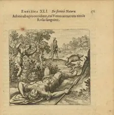 Emblem 41. Adonis is slain by a boar, and as Venus comes running she colours the Roses..., 1816. Creator: Merian, Matthäus, the Elder (1593-1650)