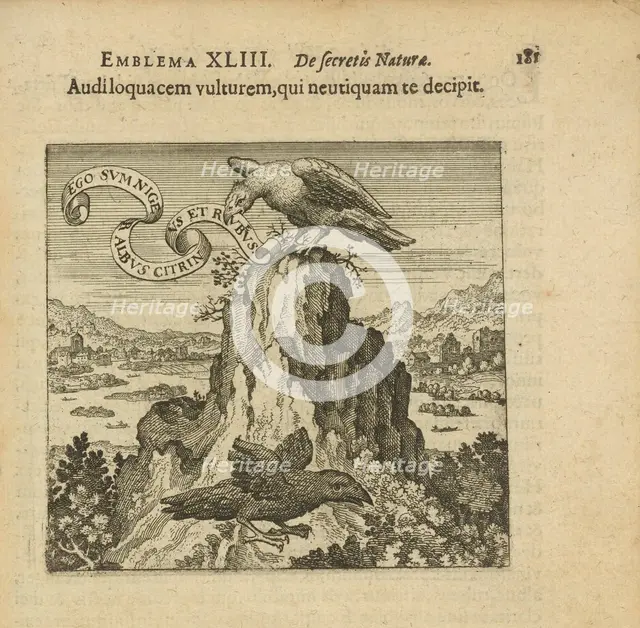Emblem 43. Listen to the talking vulture, who in no way deceives you, 1816. Creator: Merian, Matthäus, the Elder (1593-1650).