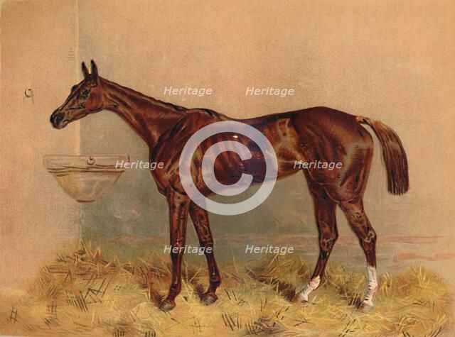 'Emblem, Steeplechase Mare', c1879. Creator: Unknown.