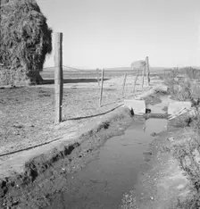 Emmett Smith's yard, back of the house, Dead Ox Flat, Malheur County, Oregon, 1939. Creator: Dorothea Lange