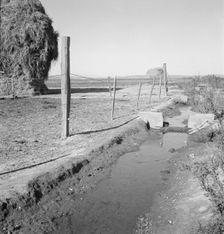 Emmett Smith's yard, back of the house, Dead Ox Flat, Malheur County, Oregon, 1939. Creator: Dorothea Lange