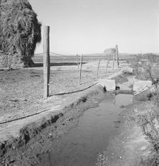 Emmett Smith's yard, back of the house, Dead Ox Flat, Malheur County, Oregon, 1939. Creator: Dorothea Lange
