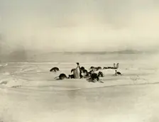 Emperors Tobogganning c1908, (1909)