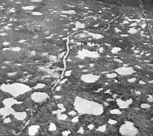 'En Champagne; L'attaque du 26 septembre 1918, au Nord de Tahure; fantassins un..., 1918. Creator: Unknown