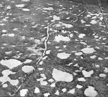 'En Champagne; L'attaque du 26 septembre 1918, au Nord de Tahure; fantassins un..., 1918. Creator: Unknown