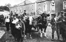 En Alsace et sur la Frontiere; Bremenil, que traverse ce convoi de blesses 1914. Creator: Unknown