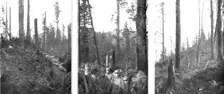 En Alsace; Lignes de tranchees et elements de blockhaus et occupes par nos troupes 1915. Creator: Unknown