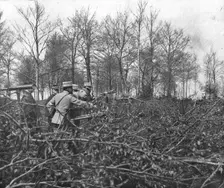 En Argonne; Du haut d'un observatoire que dissimule un abatis de branchages 1915. Creator: Unknown