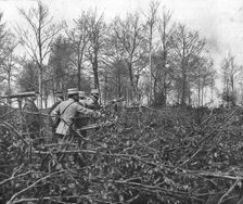 En Argonne; Du haut d'un observatoire que dissimule un abatis de branchages 1915. Creator: Unknown
