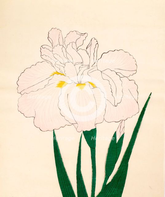 En-Yo-No-Ten, No. 73, 1890, (colour woodblock print)