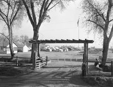 Entrance and view of Kern migrant camp, California, 1936. Creator: Dorothea Lange