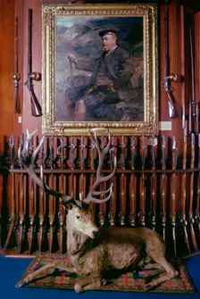 Entrance hall, Blair Castle, Blair Atholl, Perthshire, Scotland. Creator: Tony Evans