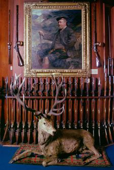 Entrance hall, Blair Castle, Blair Atholl, Perthshire, Scotland. Creator: Tony Evans