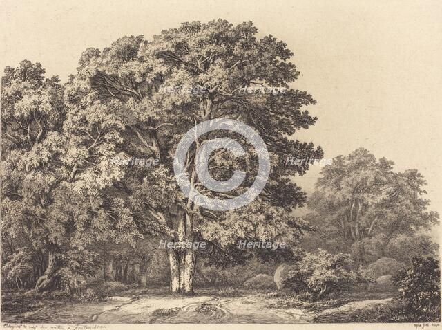 Entrance to a Forest, 1840. Creator: Eugene Blery.