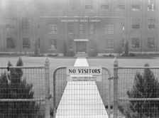 Entrance to Amalgamated Sugar Company factory at opening..., Nyssa, Malheur County, Oregon, 1939. Creator: Dorothea Lange