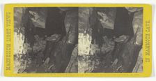 Entrance to "Long Route", 1866. Creator: Charles Waldack