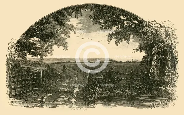'Entrance to Sedgemoor from Chedzoy', 1898. Creator: Unknown.