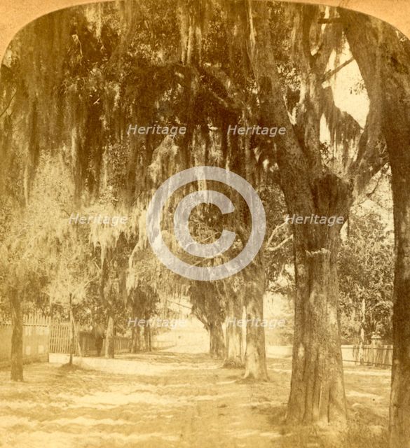 'Entrance to St. Augustine, Florida, U.S.A.', 1901. Creator: J F Jarvis.