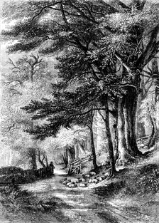 "Entrance to the Fore Walk, Wotton, Surrey" - painted by G. Barnard - from the Exhibition of the Nat Creator: Unknown
