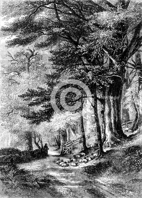 "Entrance to the Fore Walk, Wotton, Surrey" - painted by G. Barnard - from the Exhibition of the Nat Creator: Unknown.