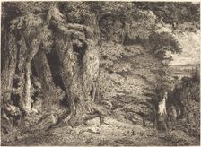 Entrance to the Forest, c. 1846. Creator: Paul Huet