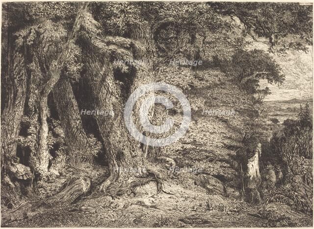 Entrance to the Forest, c. 1846. Creator: Paul Huet.