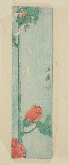 Envelope with hibiscus, n.d. Creator: Ando Hiroshige