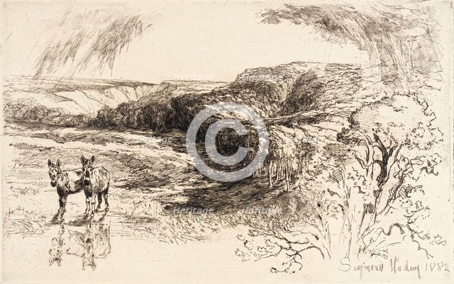 Encombe Woods, No. II, 1882. Creator: Francis Seymour Haden.