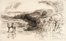 Encombe Woods, No. II, 1882. Creator: Francis Seymour Haden