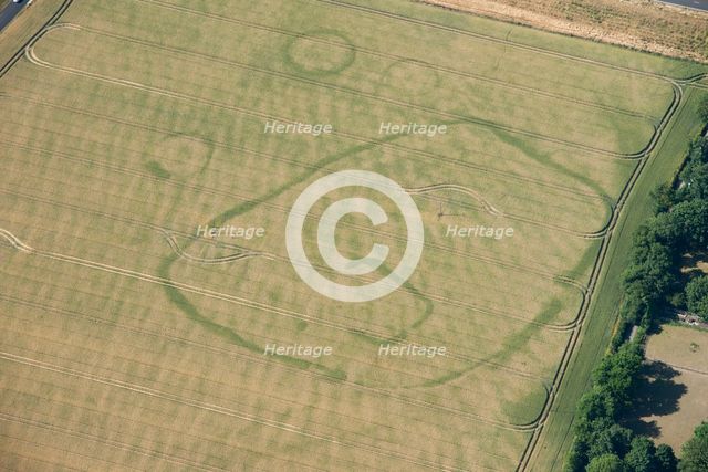 Enclosure and ring ditch crop marks near Minster, Kent, 2015. Creator: Historic England.