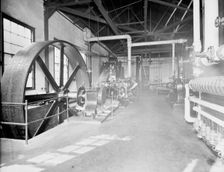 Engine room, Merchants Despatch Transportation Co., between 1900 and 1905. Creator: Unknown