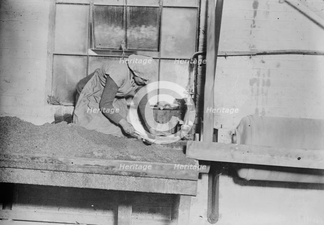 English women sifting steel grit, between c1915 and 1918. Creator: Bain News Service.