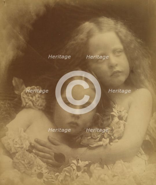 English Blossoms, 1873. Creator: Julia Margaret Cameron.